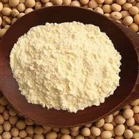 Soja en provenance du fabricant, prix de gros, ingrédients sains en provenance d'Inde, haute qualité, OEM, étiquette privée, complément pur