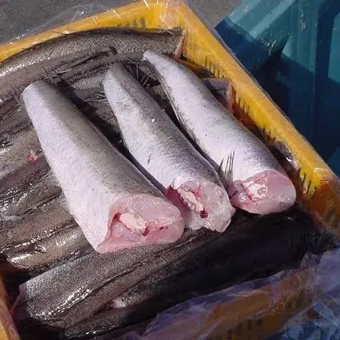 सैल्मन मछली फैक्टरी मूल्य हैक मछली / जमी हुई हैक मछली