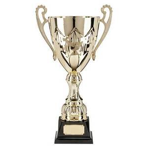 Trophée en métal poli à la main avec une base solide et des détails fins adaptés à divers prix de réussite - Product Image 5