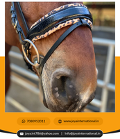 Croc verni en cuir noir personnalisé de haute qualité H.M. Safari Snaffle Bridle Prix de gros Produit de cheval non vivace