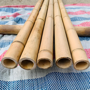 Varas de Bambú Naturales y Duraderas de Vietnam, Venta al por Mayor, Tamaño Personalizado para Construcción y Exportación, Marca VietnamCrafts BP019 - Product Image 5
