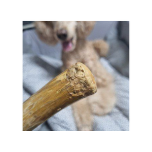 Ventes directes d'usine Jouets à mâcher naturels Soins dentaires Christin-Safe Café Bâtons à mâcher en bois Bâton à mâcher durable - Product Image 2