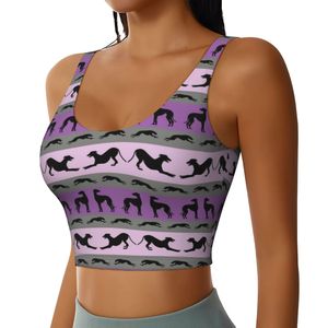 Camisetas sin mangas de entrenamiento personalizadas Greyhound Puppy para mujer, sujetadores deportivos sin costuras de talla grande sólido para Yoga, correr, Whippets, Sighthounds - Product Image 2