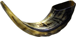 Corne de bélier de qualité supérieure Shofar corne naturelle Shofar pour souffler sur Rosh Hashanah Corne de bélier casher Shofar Kudu polie de qualité supérieure - Product Image 3