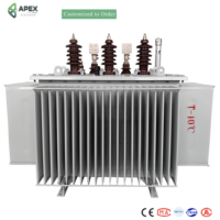 Transformateur de distribution immergé dans l'huile monté sur poteau APEX S13 50-630 kVA 11-33 kV/400-415 V pour réseau public aérien IEC 60076