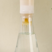 Honing Hydratatie Drank, Kleine Groene Mandarijn Smaak, Natuurlijke Energie Drank, 385ml inhoud, Honingdrank Fabrikant.