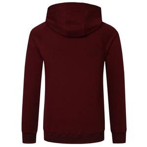 Sweat à capuche anti-bouloches pour hommes avec LOGO personnalisé coupe ajustée sweat-shirt d'hiver chaud en relief 3D XS sweat à capuche vierge de base en tricot non extensible - Product Image 2