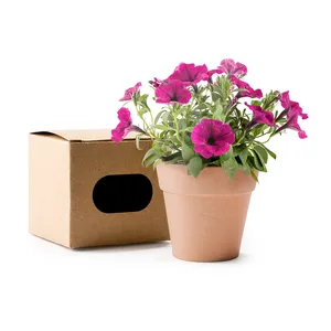 Ensemble cadeau de gadgets écologiques Heta, graines de pétunia dans un pot réutilisable - Product Image 2