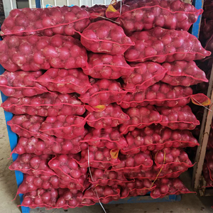 หัวหอมแดงสด ออร์แกนิค 25 กก. แบบกลม ไม่ปอกเปลือก นำเข้าจากเยอรมนี ขายส่ง ราคาดี - Product Image 1