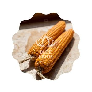 VENTA CALIENTE Blue Lotus 2025 Suministro de artesanía natural de maíz seco para decoraciones de otoño y cosecha - Product Image 1