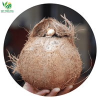 Hoge Kwaliteit Verse Kokosnoot Rechtstreeks Uit Vietnam Semi/Gepeld Fruit Directe Levering