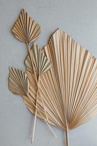 Wholesale Black <b>White</b> Bamboo Hand Fans Hand Woven Palm Leaf Bamboo Wall Art Hanging for Wall Decoration Fan Vietnam Factory - Product Image 2