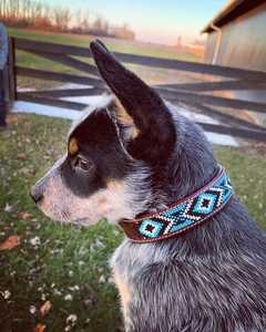 Collier de chien en cuir Pawthentic Heritage de Divine International Durable et luxueusement classique avec des caractéristiques personnalisables - Product Image 4