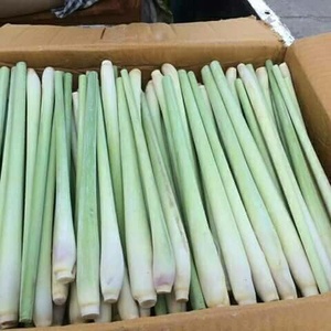 Hierba de limón congelada competitiva al mejor precio de exportación de Vietnam - Product Image 3