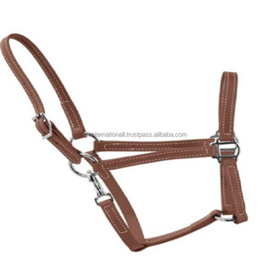 Licou de cheval en cuir marron classique confortable licou de cheval rembourré en cuir véritable et collier de tête avec matériel réglable - Product Image 3