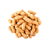 Arachides Jumbo Biologiques de Qualité Supérieure, Riches en Protéines, Séchées, Brutes, de Grade A, du Brésil, à Vendre