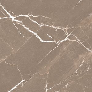 Descubre los elegantes azulejos de porcelana de 80x80cm de las principales empresas de fabricación de azulejos de La India, azulejos de pared de porcelana con acabado de mármol - Product Image 3