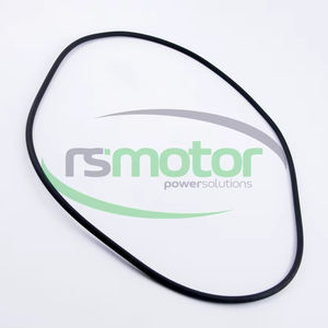 Original/OEM O-Seal para MWM Nuevas piezas de motor de gas natural para motor de maquinaria - Product Image 1