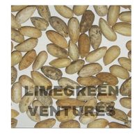 Graines de neem à double langue de haute qualité Qualité d'exportation 12 mois Durée de conservation Emballé en vrac Approvisionnement en gros Inde Agriculture mondiale