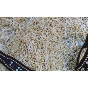 ชุดอุปกรณ์ขี่ม้าหนังแท้สีฟ้าแบบตะวันตก น้ำหนักเบา พร้อมสายรัดอก ประดับลูกปัด ทนทาน ขายดี - Product Image 2