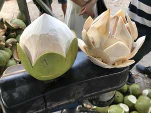 Coconut Young Fournisseur du Vietnam de haute qualité Sweet Young Green Maprao Siam Eau de coco - Product Image 2