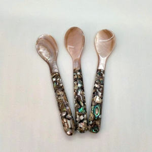 Cuillère à coquillages décorative cuillère à coquillages écologique cuillère à coquillages faite à la main pour café dessert salle à manger utilisation dans la cuisine - Product Image 6