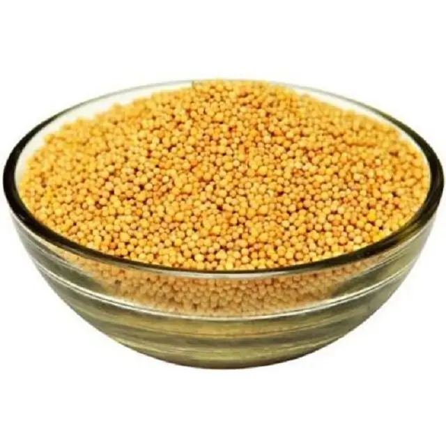 La fabbrica di spezie vende all'ingrosso condimenti da cucina di alta qualità semi di senape semi di senape gialla