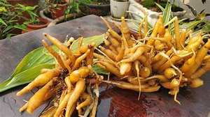 รากสมุนไพรจากธรรมชาติคราไคแช่แข็งสำหรับการรับประทานอาหารที่สะอาดและการสนับสนุนทางเดินอาหารโดยไม่มีสารเติมแต่ง - Product Image 5