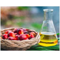 Huile de palmiste raffinée à prix abordable, 100 % naturelle, qualité supérieure, bouteille en verre du Brésil pour la cuisson