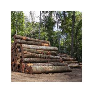 LE BOIS SAUTÉ D'ACACIA LE MOINS CHER ET DE HAUTE QUALITÉ DU VIETNAM - Product Image 5