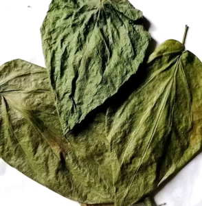 Feuilles de bétel séchées de qualité supérieure, ingrédient adapté au bien-être, aux cosmétiques ou au thé - Product Image 1