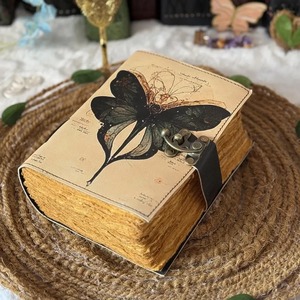 หนังสือคาถาที่ว่างเปล่าของเงาวารสารคาถาคาถาอุปกรณ์ตกแต่งผีเสื้อและของขวัญผีเสื้อ Morpho สำหรับเขา - Product Image 3