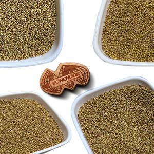 Trébol de Berseem | Procesado ordenadamente para exportación global - Product Image 2