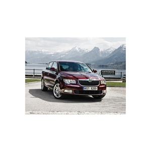 Réflecteur de porte inférieur en verre rouge pour Skoda Superb Mk2 2009-2015, 1K0947419A - Product Image 2