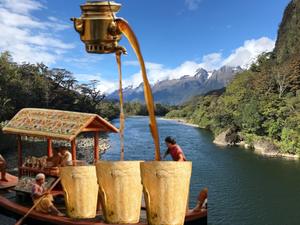 Machine de fabrication de tasses à thé biodégradables écologiques à 50 cavités, équipement de formage automatique pour une production jetable écologique - Product Image 3