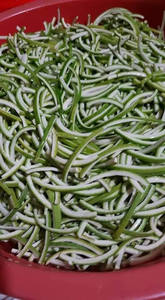 Poudre pure à prix compétitif, meilleure qualité, pour l'exportation depuis le fabricant en gros du Vietnam - Product Image 5