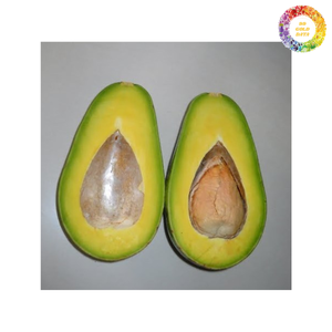 อะโวคาโดสดสำหรับการส่งออกประเภท Hass อะโวคาโดสีเขียวสำหรับขายส่งผลไม้ครีมที่ดีที่อุดมไปด้วยสารอาหารสำหรับสลัดแซนวิชสมูทตี้ - Product Image 4