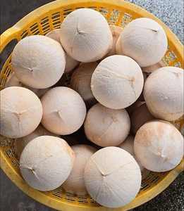 Morceaux de chair de noix de coco surgelés IQF Origine Vietnam Saveur riche Idéal pour l'huile de noix de coco et la noix de coco râpée - Product Image 4