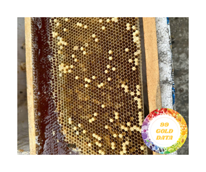 Panal de Miel 100% Natural de Vietnam - Panal de Miel Premium para Venta al por Mayor - Product Image 6