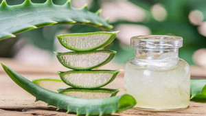 Poudre d'aloe vera comme matière première pour la production de boissons, pour des repas pratiques et nutritifs pour de belles vacances de peau - Product Image 3