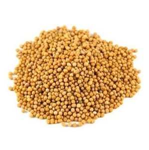 Graines de moutarde déshydratées de haute qualité - Product Image 4