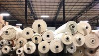 Telas textiles indias Venta al por mayor Lona de algodón razonable Tela de pato pesado Greige Uso de textiles para el hogar a precio barato por ITHL
