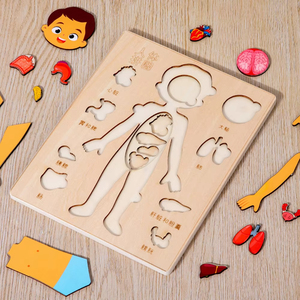 Jouets Montessori en bois pour enfants, puzzles sur les organes du <span class=keywords><strong>corps</strong></span> <span class=keywords><strong>humain</strong></span>, jouet éducatif, activités d'apprentissage pour la maternelle, planche d'activités - Product Image 4