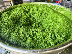 VENTE EN GROS PÂTE DE FEUILLES DE MANIOC CONGELÉES LÉGUME VERT NATUREL HOT DEAL TOP VENTES APPROVISIONNEMENT EN VRAC DE QUALITÉ SUPÉRIEURE - Product Image 3