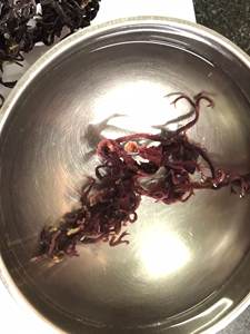 Venta caliente seamoss Jamaican seamoss tarros - Product Image 4