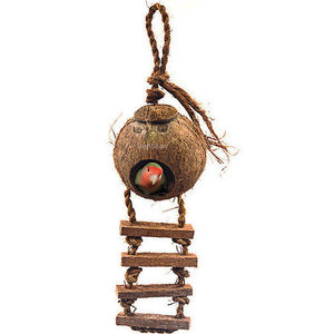 COQUE DE NOIX DE COCO NID D'OISEAU MAISON HAMSTER HOUSE-NATUREL FAIT MAIN DU VIETNAM - Product Image 3