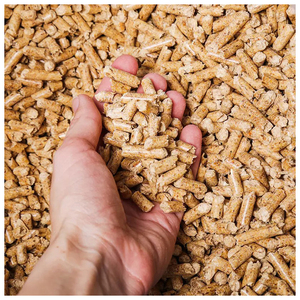 Suministro de biomasa de pellets de combustible chimenea estufa de calefacción de pellets de leña de alta calidad precio barato al por mayor - Product Image 5