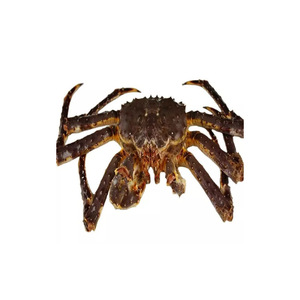 Crabes royaux sauvages pêchés congelés Fournisseur entier en vrac emballé Fruits de mer réfrigérés d'océan Exportation de qualité supérieure Viande propre et fraîche de qualité - Product Image 2