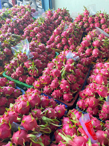 Fruit du dragon tropical frais Premium Vietnam | Chair rouge et chair blanche | Norme d'exportation de haute qualité - Product Image 4