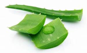 PULPE D'ALOE VERA PURE CONGELÉE RICHE EN NUTRIMENTS NATURELS POUR UNE SANTÉ IMMUNITAIRE - Product Image 6